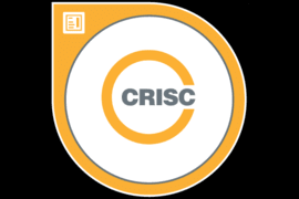 Certified in Risk and Information Systems Control (CRISC)